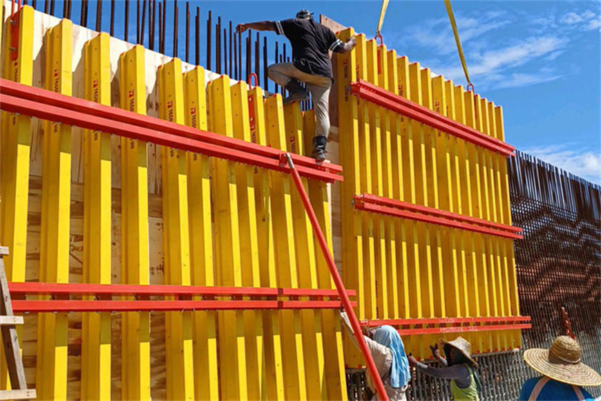 TECON Base 20 Wall Formwork