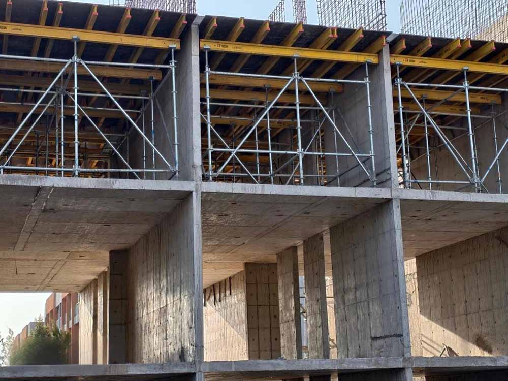 The basic project information